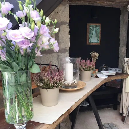 Simira アラカティ